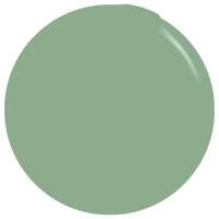 The Edge, The Olive Green Gel Polish 8ml